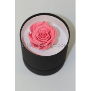 Стабилизированная роза в коробке (ярко-розовая) 